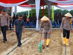 Wakil Ketua DPRD Wiranto Hadiri Penanaman Benih Jagung di Desa Suko Awin Jaya