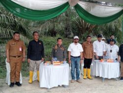 Anggota Dewan Muaro Jambi Robinson Sirait Dampingi Kementan Tanam Padi Gogo di Lawan Sawit Rakyat