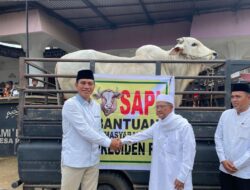 Usai Shalat Idul Adha,Bupati Batang Hari Serahkan Hewan Sapi Kurban Dari Presiden RI