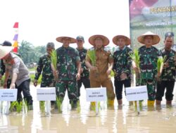 Bupati BBS dan Wakil Bupati Jun Mahir Dampingi Wagub Lakukan Penanaman Padi Serentak