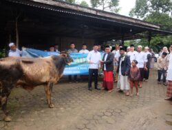 Wakil Bupati Jun Mahir Serahkan Hewan Qurban Untuk Masyarakat Kelurahan Jambi Kecil