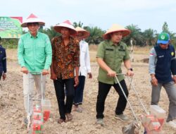 Bupati Batang Hari Fadhil Arief Bersama Kapolres Batanghari Gelar Penanaman Jagung Serentak Kuartal III di Kelurahan Sridadi