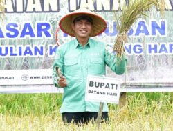 Pemkab Batang Hari panen raya di Desa Terusan, MFA : Panen Meningkat,Petani Sejahtera