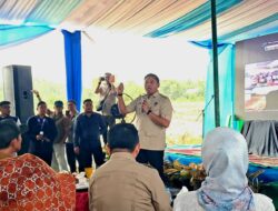 Wamentan dan Bupati Fadhil Arief Tanam Padi Serentak di Batang Hari