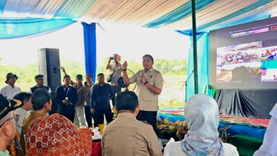 Wamentan dan Bupati Fadhil Arief Tanam Padi Serentak di Batang Hari