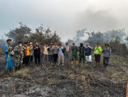 Anggota DPRD Ade Erma Erma Suryani Apresiasi Tim Gabungan Padamkan Api Karhutla di Sumberjaya